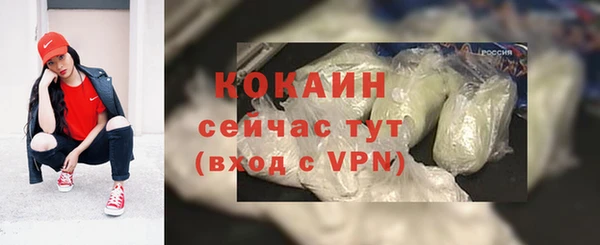 соль ск Богданович