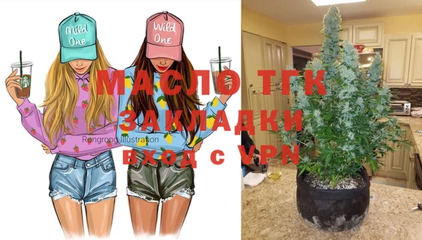 PSILOCYBIN Бородино