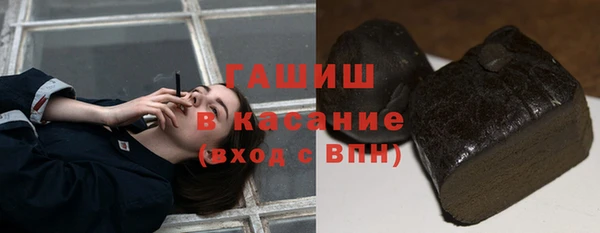 сатива Армянск