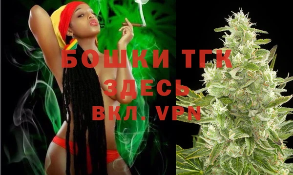 PSILOCYBIN Бородино