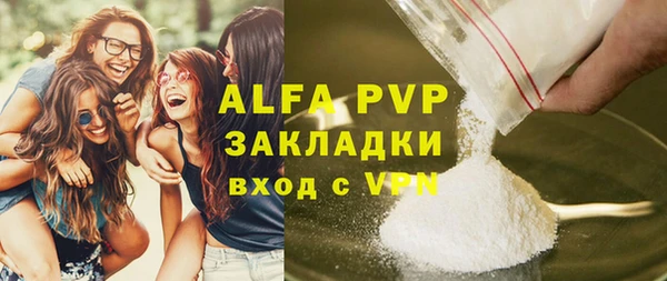 PSILOCYBIN Бородино