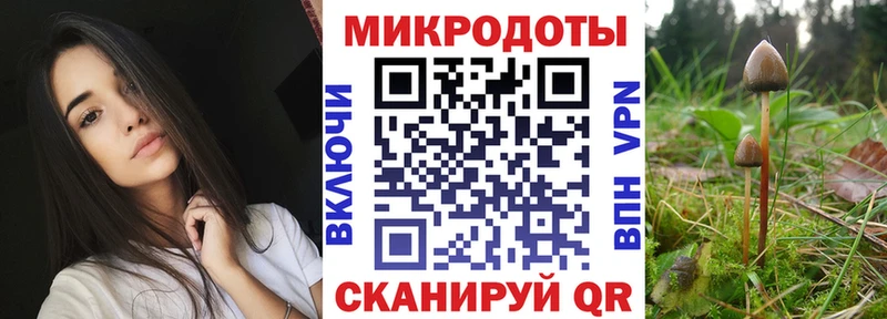 Галлюциногенные грибы мицелий  Котельниково 